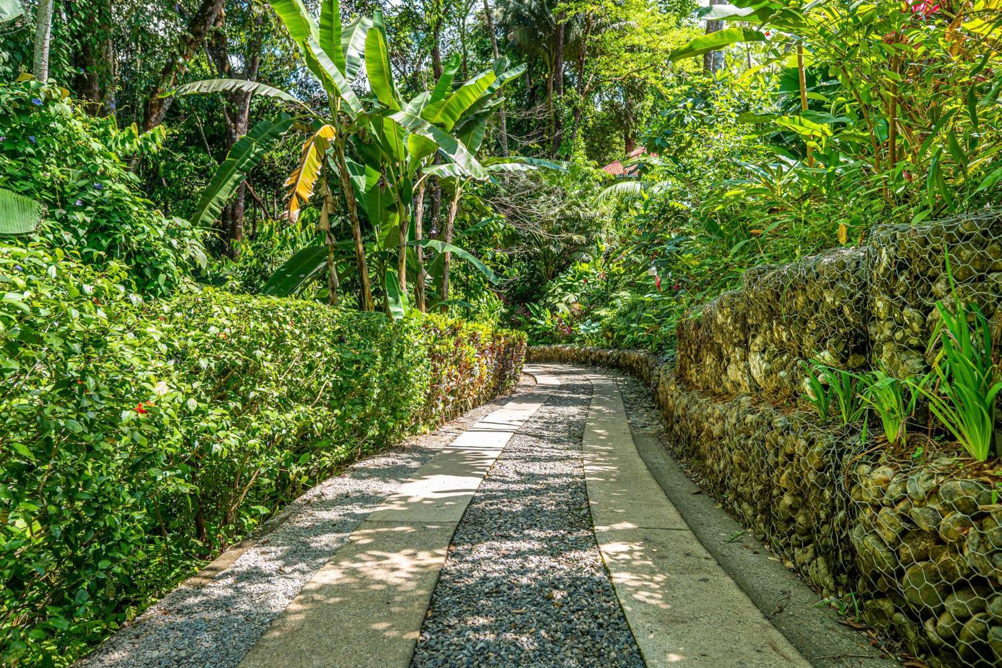 Villas En El Bosque Ojochal Exterior photo